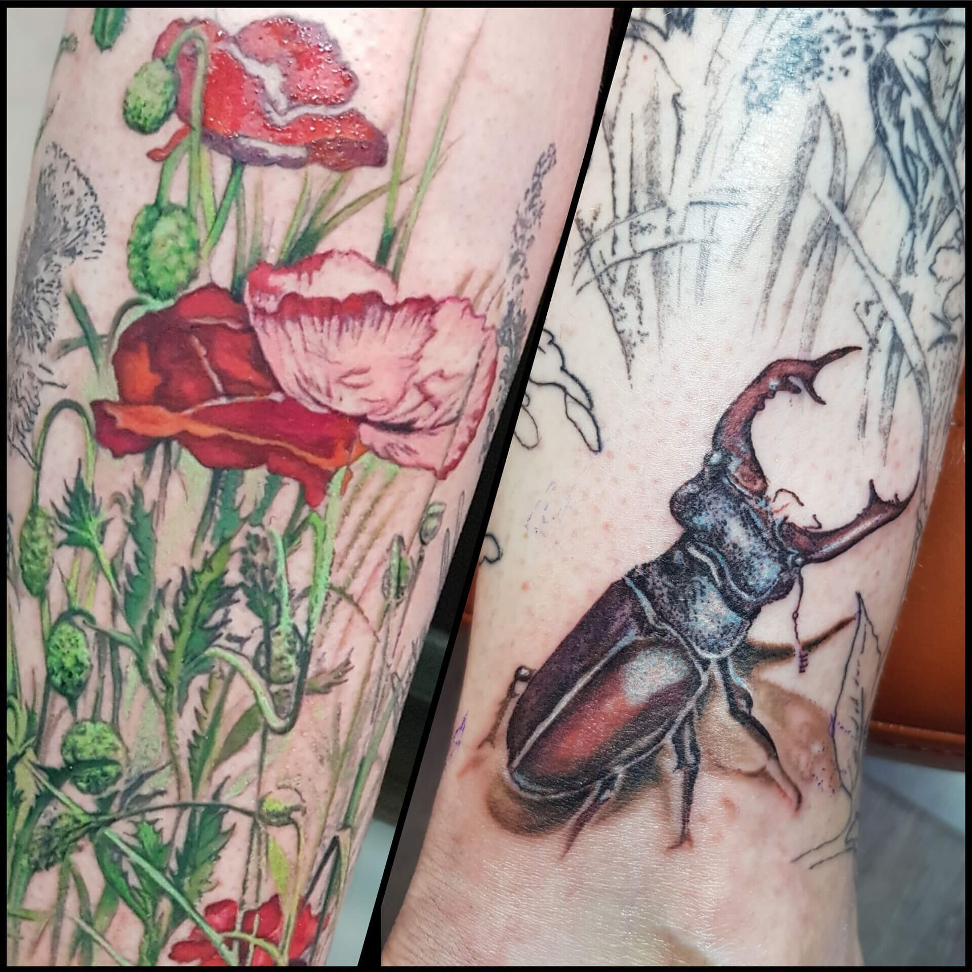 Studio tatuażu Gdańsk Alicja Mazur_flora i fauna